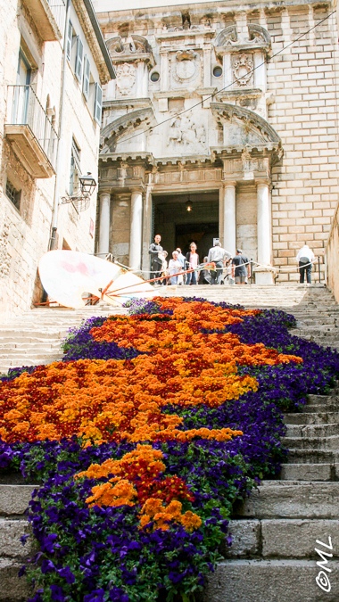 Girona - temp de flors