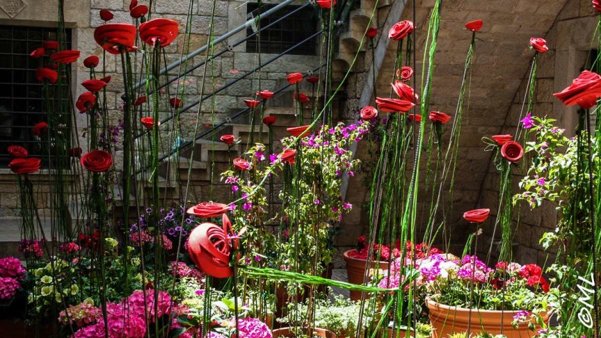 Girona - temp de flors