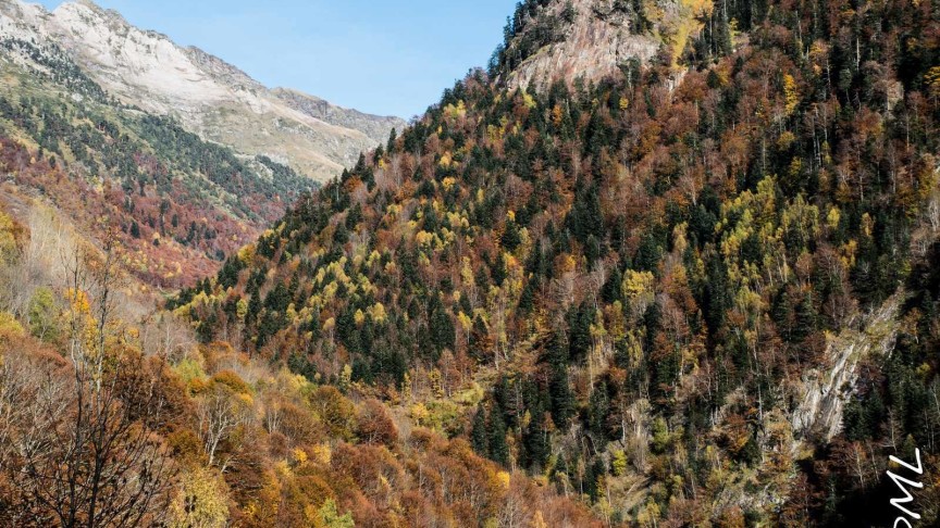 Vall de Boi