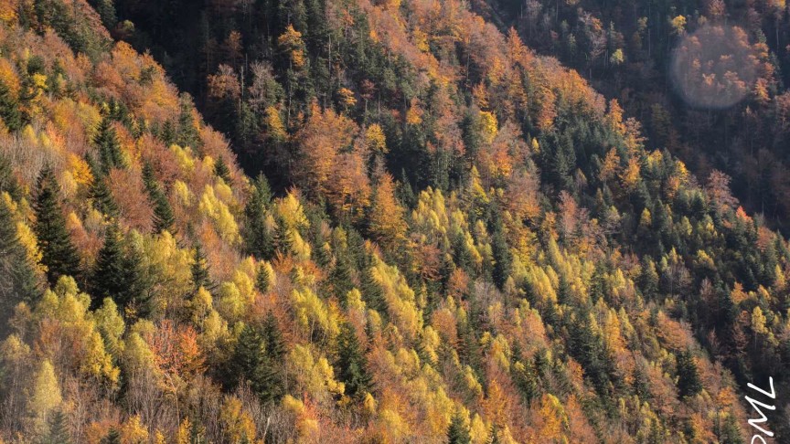 Vall de Boi
