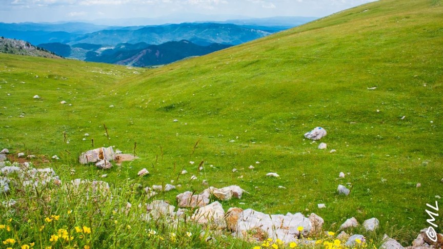 Prawie na końcu świata