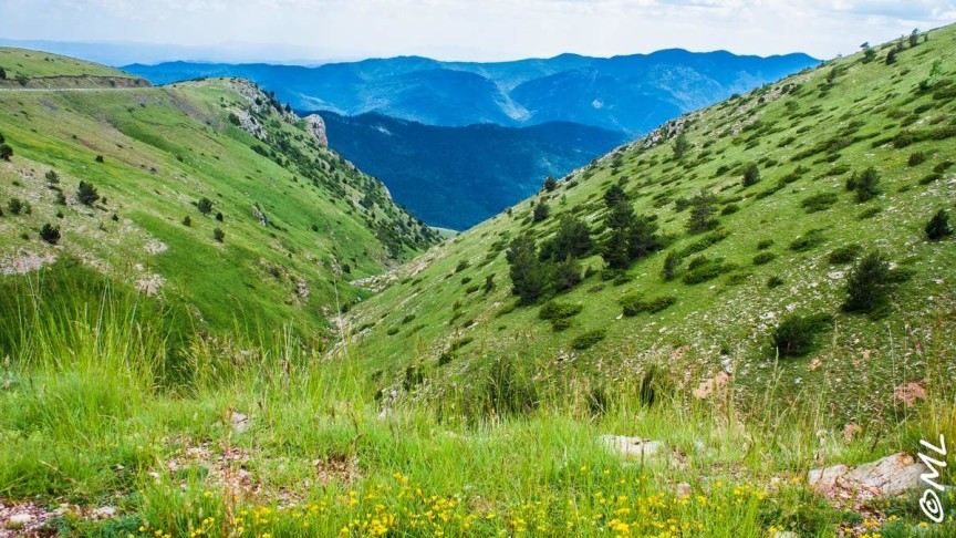 Prawie na końcu świata