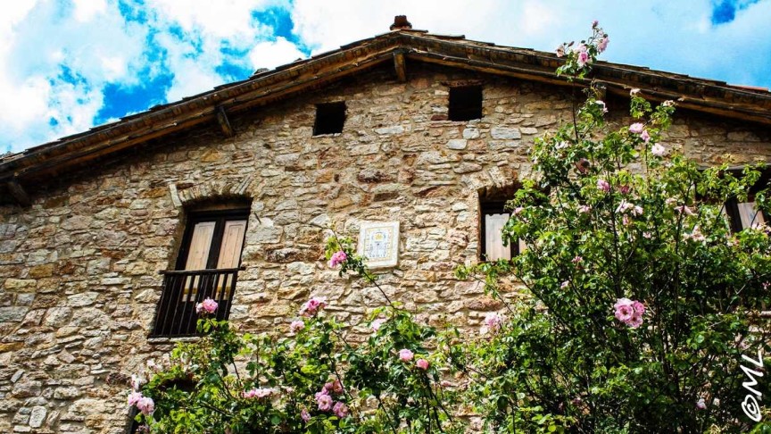 Prawie na końcu świata