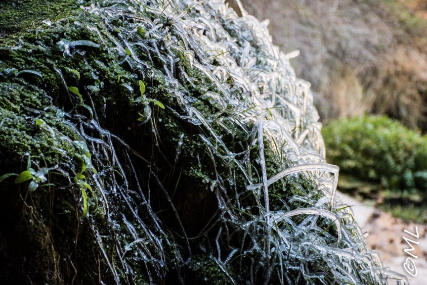 Przewodnik po Katalonii