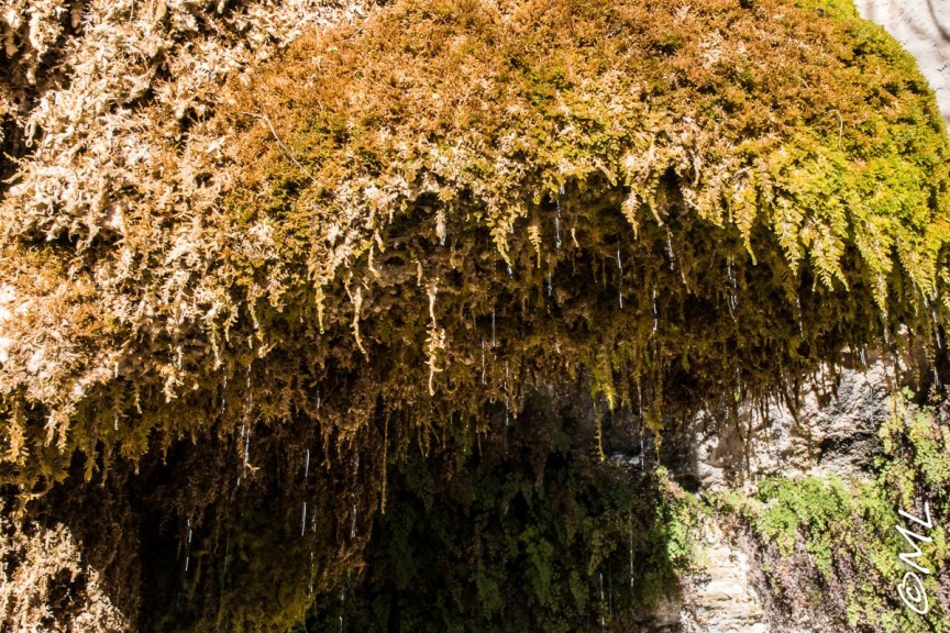 Przewodnik po Katalonii