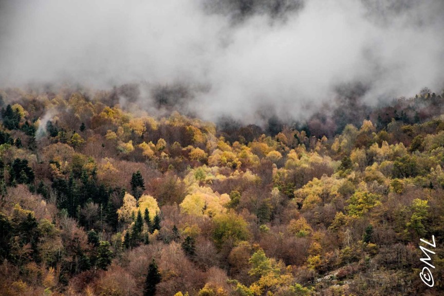 przewodnik po katalonii