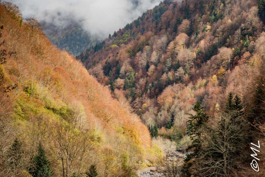 przewodnik po katalonii