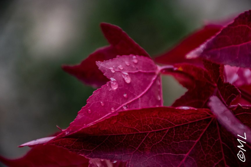 przewodnik po katalonii